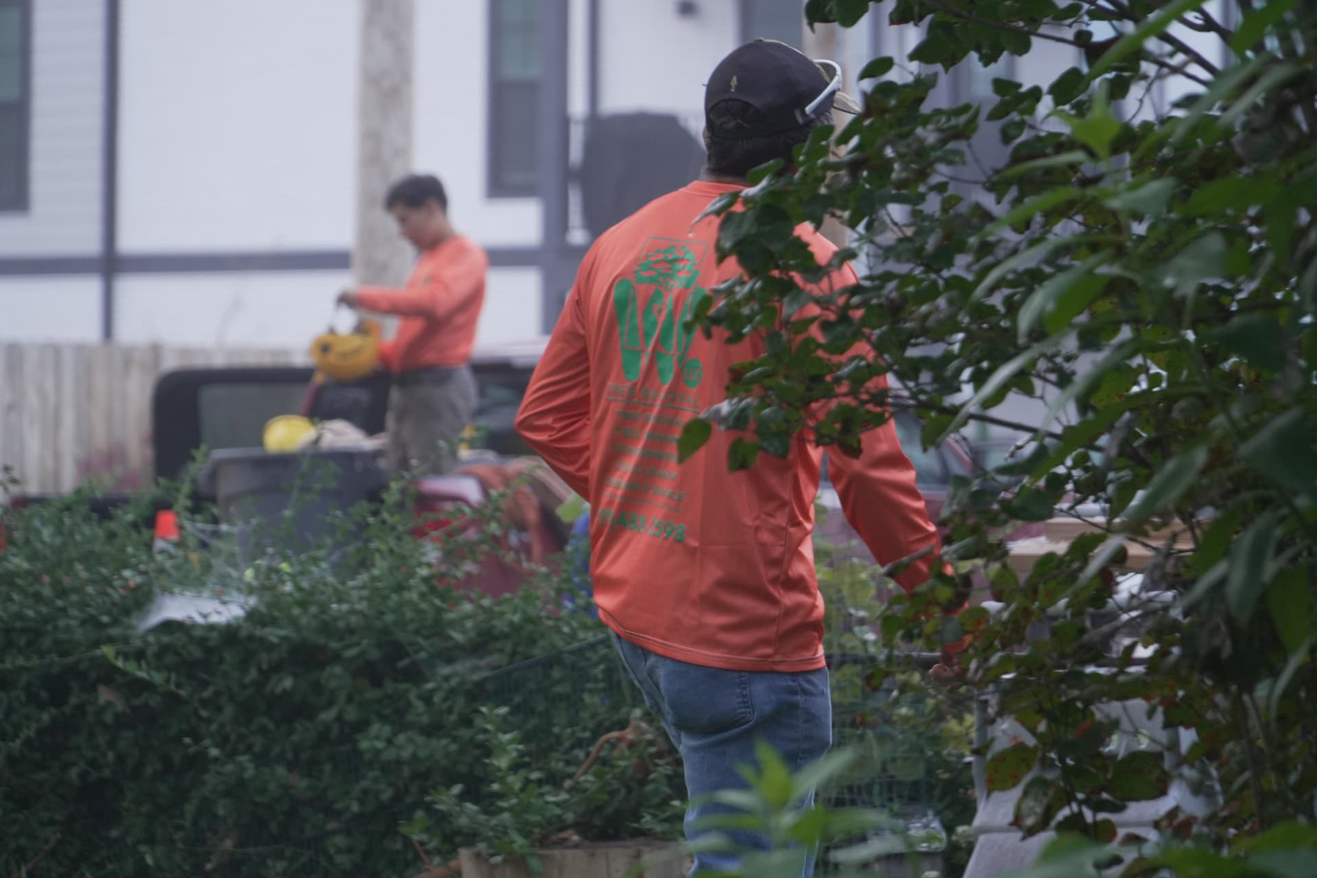 Wilmer's crew trimming overgrown bushes on a residential property