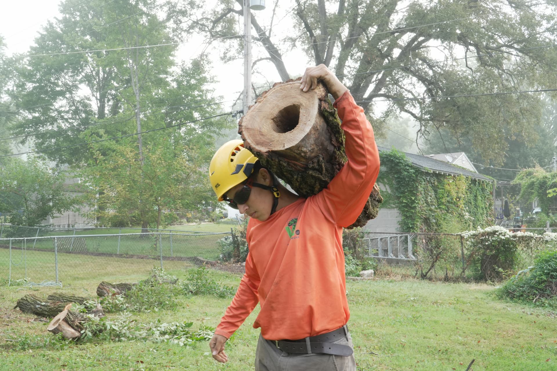 Wilmer's crew member carrying a large cut log section in a Kansas City backyard